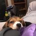 Profile Picture of Matthew Farr (@matthew.farr.7355) on Facebook
