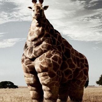 Profile Picture of Bob Laroe (@mosesthewhiteja) on Twitter