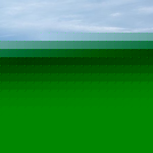 Denise A. Winterhalter - Myspace Profile Picture of Denise A. Winterhalter (@rundw) on Myspace