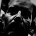 Profile Picture of Steve Boyd (@steve.boyd.7121) on Facebook