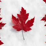 Profile Picture of Harold Mickle (@mickleharold) on Instagram