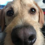 Profile Picture of Gary Kearley (@gary_kearley) on Instagram