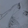 Profile Picture of William Torche (@william.torche) on Facebook