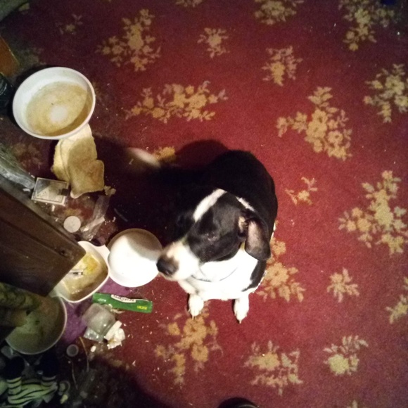 Profile Picture of Richard Auten (@swordsman_2) on Poshmark