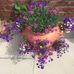Profile Picture of Jean Starr (@jean.starr.505) on Facebook