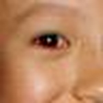 Profile Picture of Yu-li Lin (@Yu-li) on Flickr
