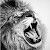 Profile Picture of Javier Horta Z (@javierhortaz) on Pinterest
