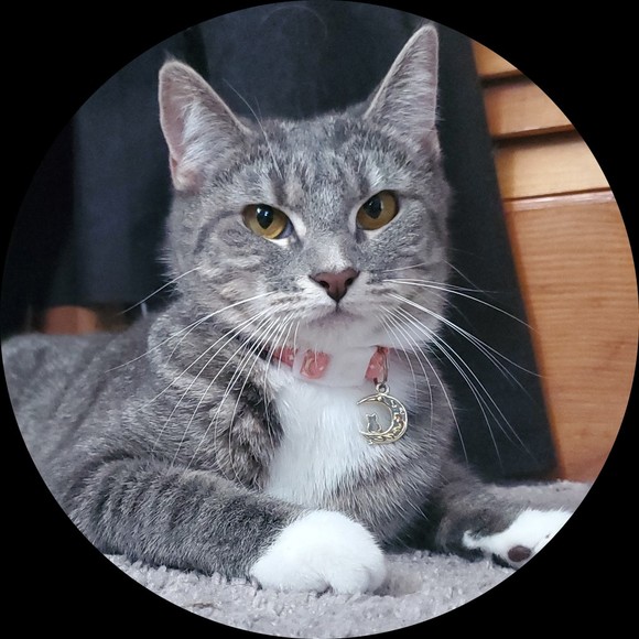 Profile Picture of Leah Cronin (@perfectsparrow) on Poshmark