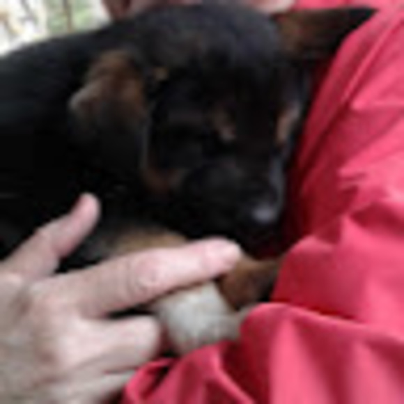 Kathleen Hennrikus - Poshmark Profile Picture of Kathleen Hennrikus (@khennrikus) on Poshmark