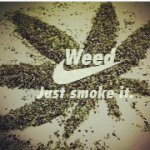 Profile Picture of Amanda Shutes (@im_crazy420) on Instagram