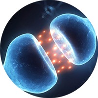 Profile Picture of Devon-hawk Hazard (@devon-hawk-hazard) on Quora