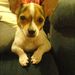 Profile Picture of Shirley Roach (@sjroach09) on Pinterest