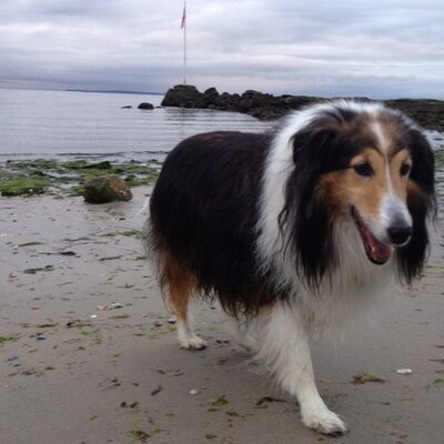 Profile Picture of Bradley Boehringer (@IowaHeron) on Twitter