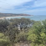 Profile Picture of Taya Howell (@Taya-Howell) on Facebook