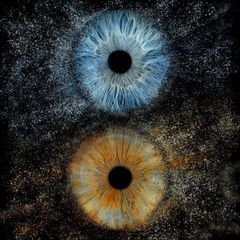 Profile Picture of David Meekin (@pavoir10) on Tiktok