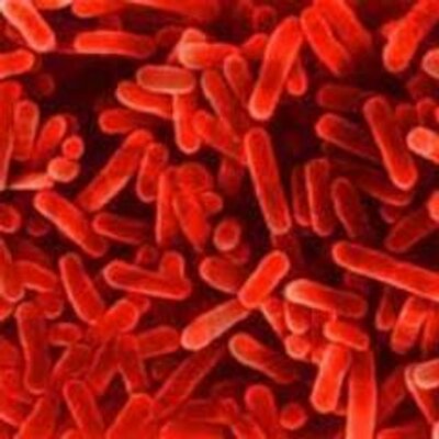 Profile Picture of Jessica Zappala (@BSCI_JZ) on Twitter