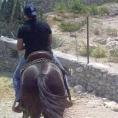 Profile Picture of Jorge Ramos Pinales (@JorgeRamosPin) on Twitter