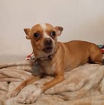 Joseph Fredenburg - Facebook Profile Picture of Joseph Fredenburg (@Joseph-Fredenburg) on Facebook