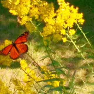 Profile Picture of Nancy Huppert (@nancy.huppert.900) on Facebook