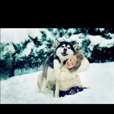 Profile Picture of Dorina Trepca (@DoRi1Direction) on Twitter