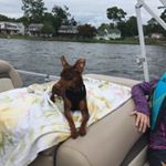 Profile Picture of Daniel W. Carpenter (@danielw.carpenter) on Instagram