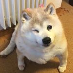 Profile Picture of Dustin Sanderson (@dustysanderson13) on Instagram