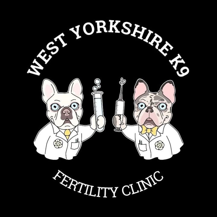 Profile Picture of Michelle Sharkey570 (@westyorkshirkek9leeds) on Tiktok