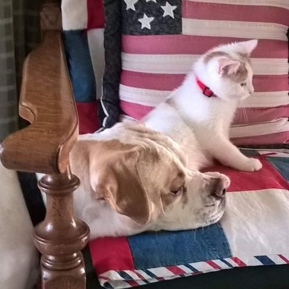 Profile Picture of Brenda Simison (@brendasimison4) on Poshmark