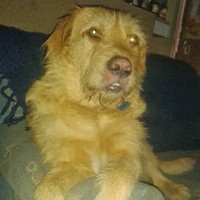 Profile Picture of Gordon Macintyre (@gordon-macintyre-2) on Quora