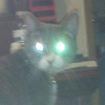 Profile Picture of Dustin Lussier (@zipstein) on Twitter