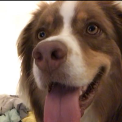 Profile Picture of Jane Park (@jane_park_kam) on Twitter