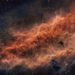 Profile Picture of Jade Boughter (@boughterjade) on Pinterest