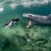 Profile Picture of Tristan Mathieus-weeks (@tristan-mathieus-weeks) on Quora