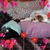 Profile Picture of Sheri Wojciechowski (@sheri.wojciechowski.37) on Facebook
