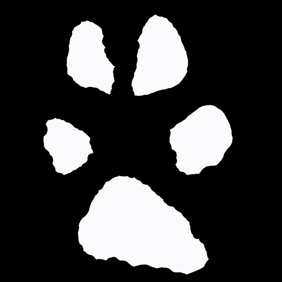 Profile Picture of April Catarella (@acatarella) on Poshmark