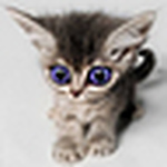 Profile Picture of Julio Y Ana Alvarez Van Koningsloo (@julio y ana alvarez van koningsloo) on Flickr