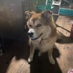 Profile Picture of Robert Awidan (@Robert-Awidan) on Facebook