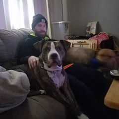 Profile Picture of Corey Beals (@@coreybeals) on Tiktok