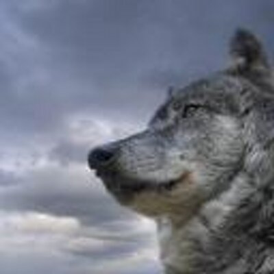 Profile Picture of Ruby Aguilera (@RubyAguilera2) on Twitter