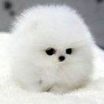 Profile Picture of Ivy Burkhardt (@living_deadartist) on Instagram