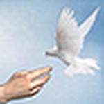 Cj.sadler - Flickr Profile Picture of Cj.sadler (@cj.sadler) on Flickr