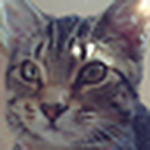 Profile Picture of Vicky Louise Denley (@my lil morgan) on Flickr