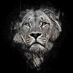 Profile Picture of Kevin Jin (@kevin_chhim) on Instagram