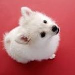 Profile Picture of Eni Anžič (@enianzic1) on Instagram