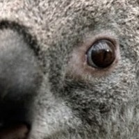 Profile Picture of Mason Keyes (@mason-keyes) on Quora