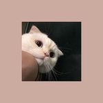 Profile Picture of Carlos Fisher (@carlosfisher_q) on Instagram