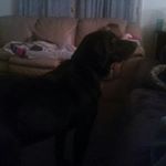 Profile Picture of David McLain (@davidmclain02) on Instagram