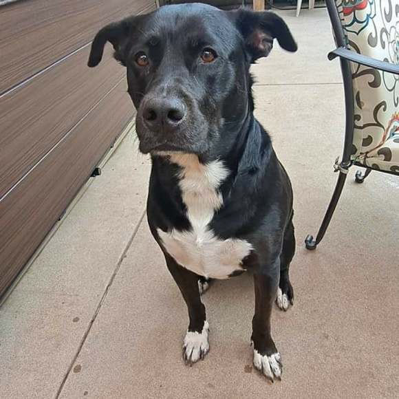 Profile Picture of Jacob Watkins (@jacobwatkins737) on Poshmark