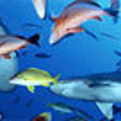 Profile Picture of Louis Duff (@@luis21same) on Twitter