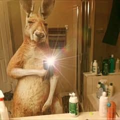 Profile Picture of Randy Pop (@soy_de_nadie63) on Tiktok